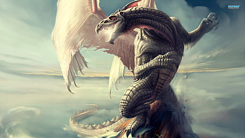 Girl, Dragon, Back, Tattoo Full 1920Ã1080 Dragon HD wallpaper